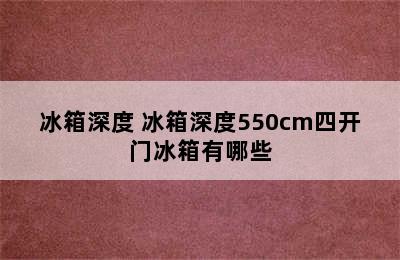 冰箱深度 冰箱深度550cm四开门冰箱有哪些